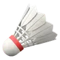 Tollaslabda ikon